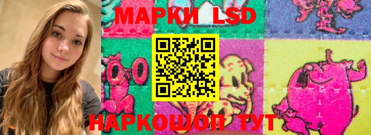 ЛСД экстази ecstasy  Вход с VPN  ЛСД экстази ecstasy  Новокубанск 