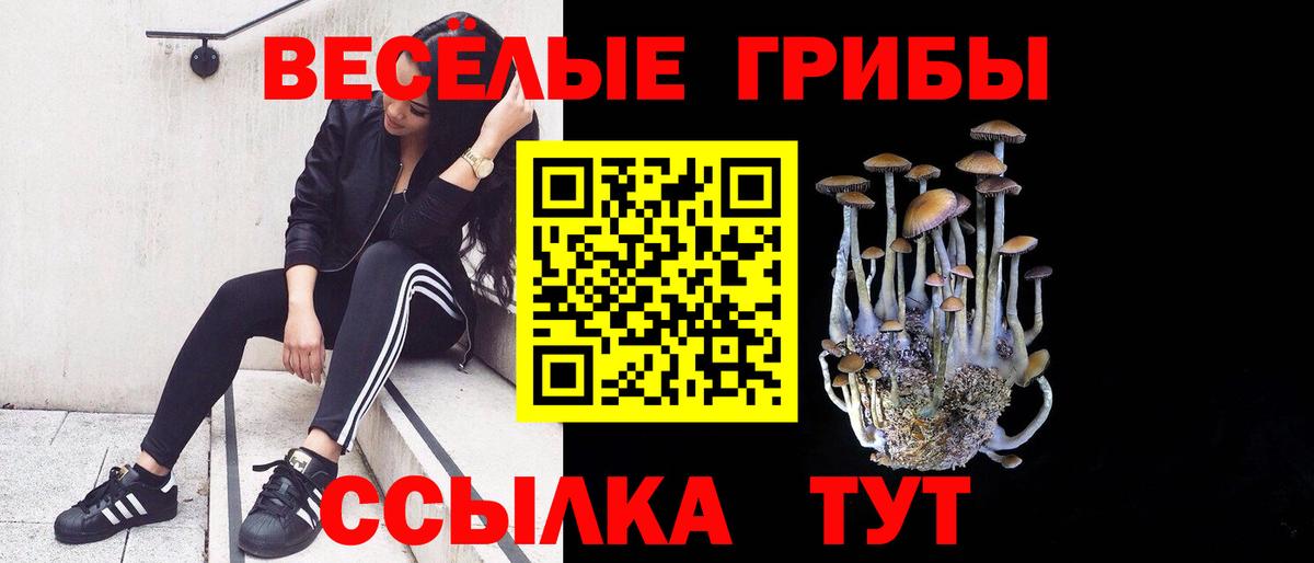 Псилоцибиновые грибы мицелий  Псилоцибиновые грибы мицелий  Новокубанск  сколько стоит  Вход с VPN 
